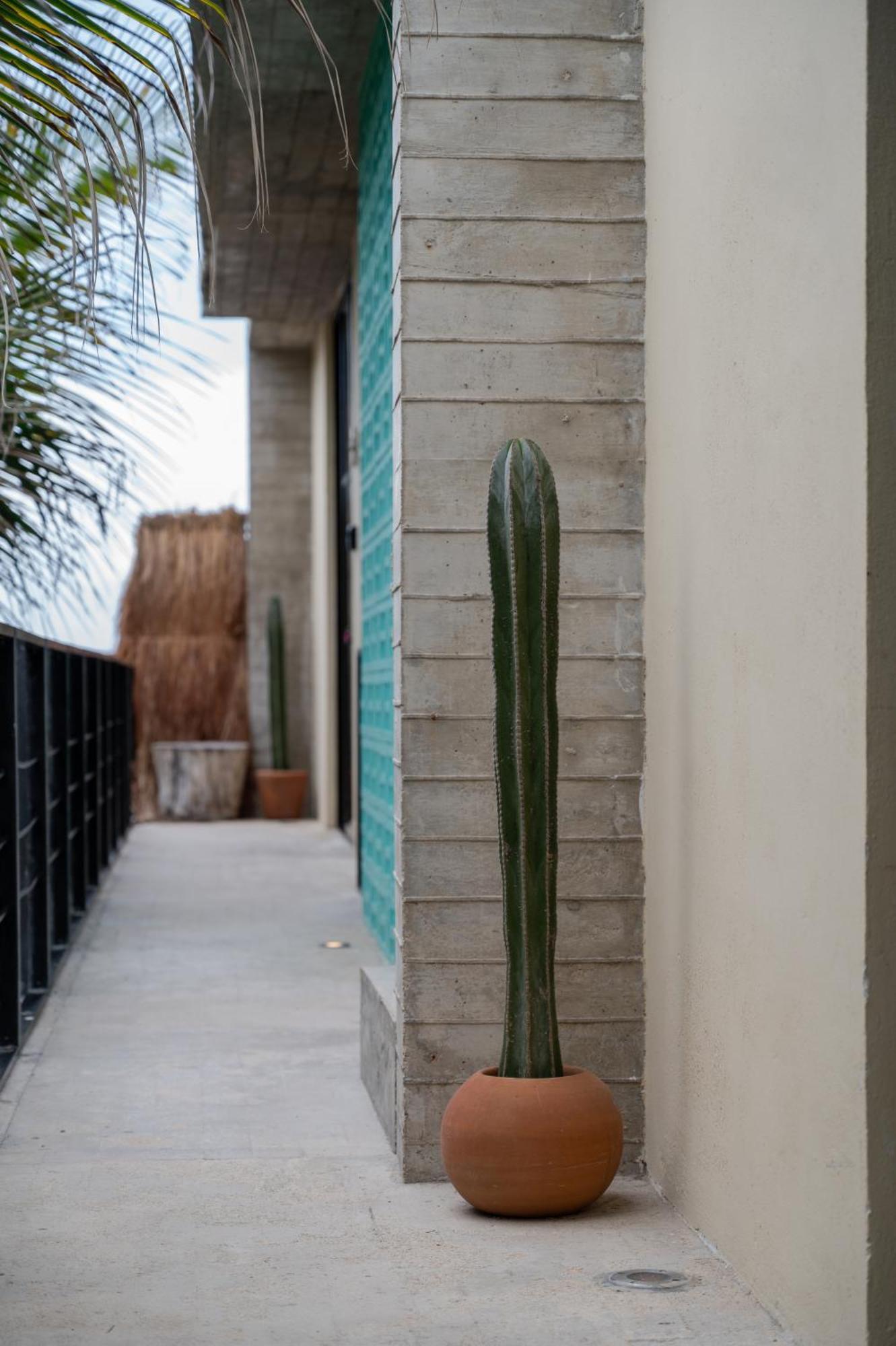 Tropicalito Villa On The Beach Tulum Exterior foto